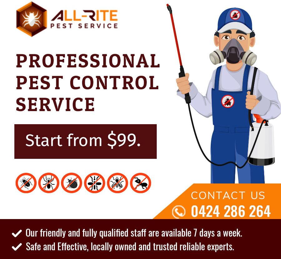 Pest Inspections Port Stephens