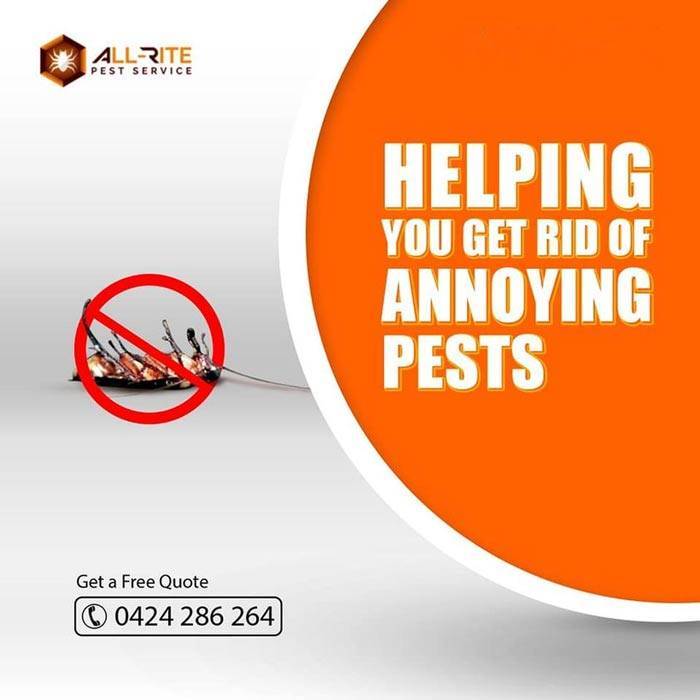 Get rid of pest